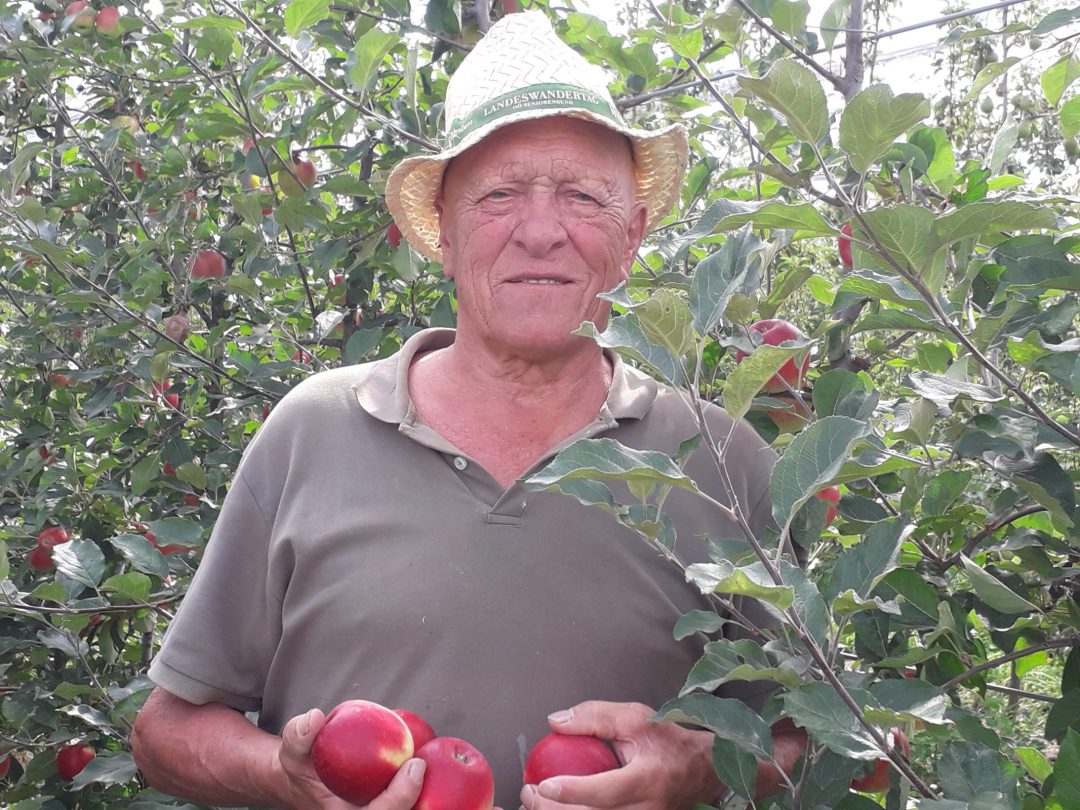 Frische heurige Äpfel Biohof Heuberg